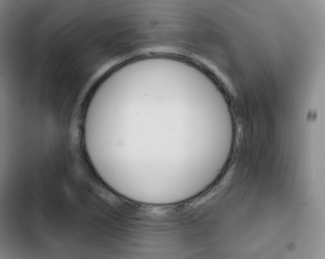 X0000103261266200808291034