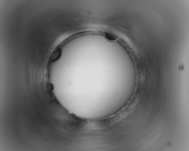 X0000103261267200808291034