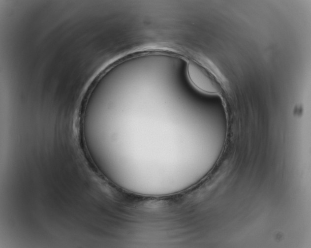 X0000103261268200808291034