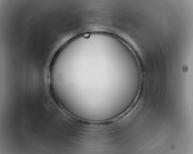 X0000103261269200808291034