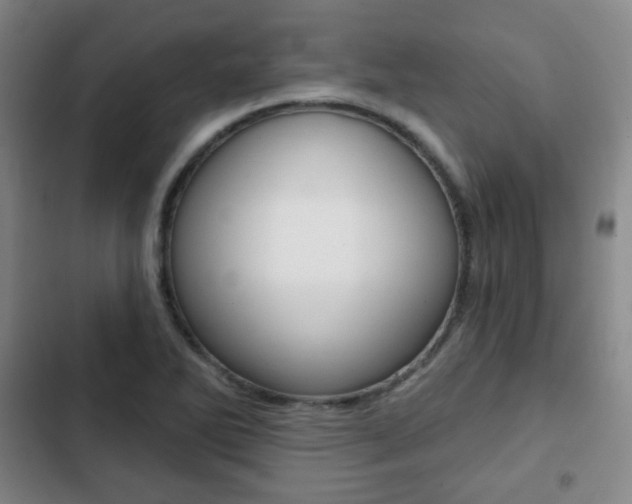 X0000103261270200808291034