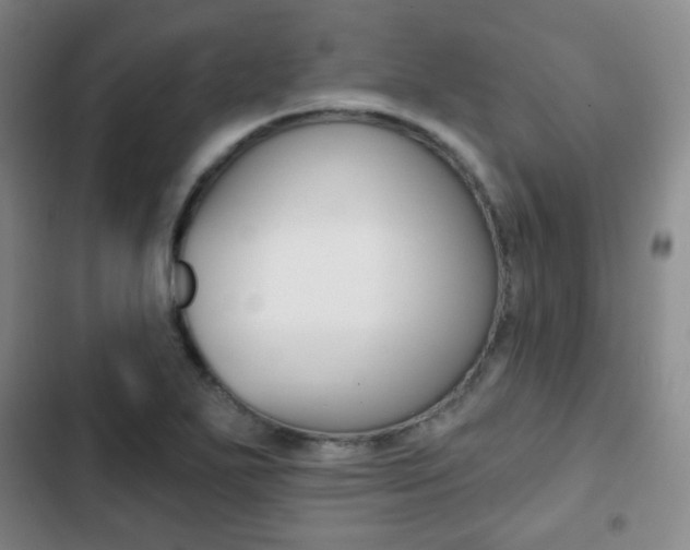 X0000103261271200808291034