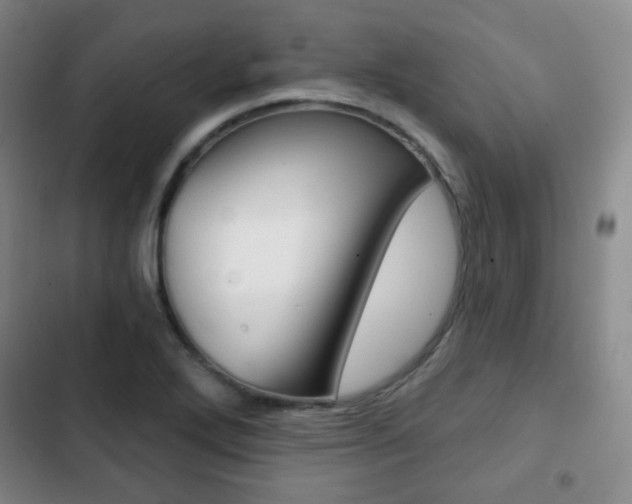 X0000103261272200808291034