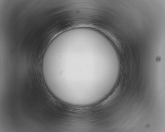 X0000103261273200808291034