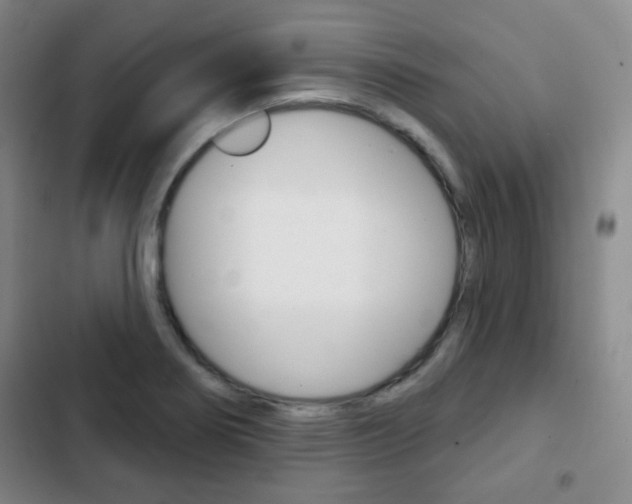 X0000103261274200808291034