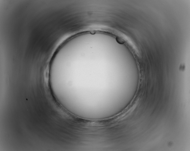 X0000103261275200808291034