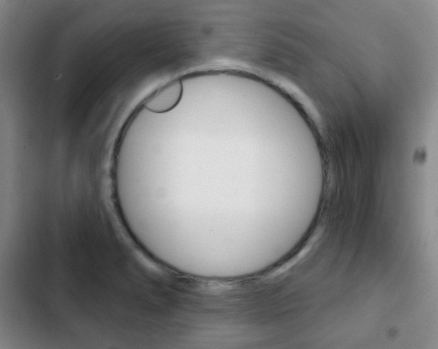 X0000103261278200808291034