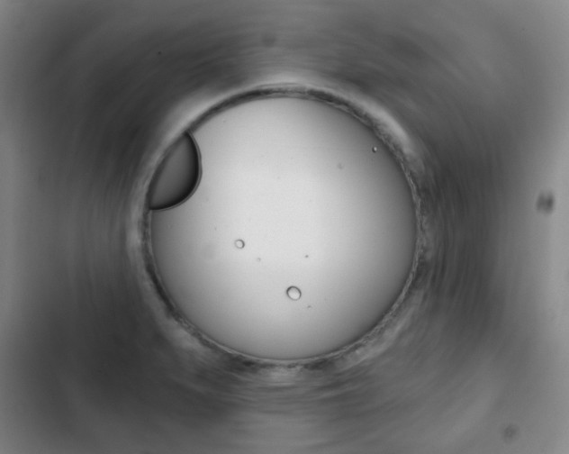 X0000103261279200808291034