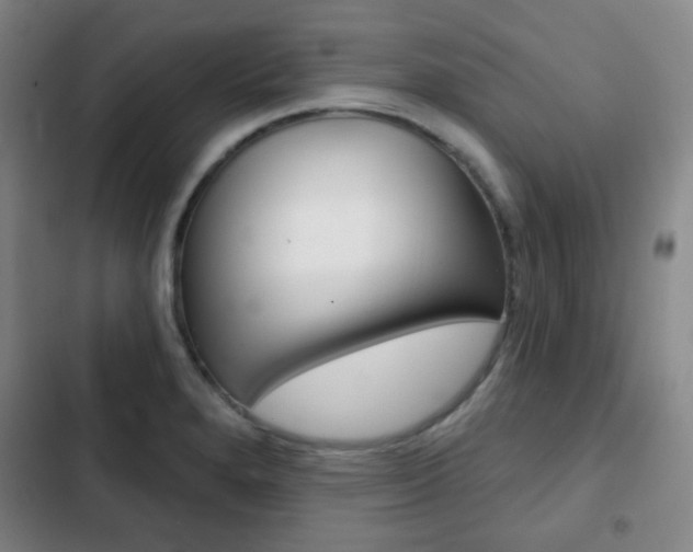 X0000103261280200808291034