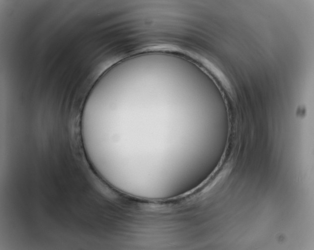 X0000103261281200808291034