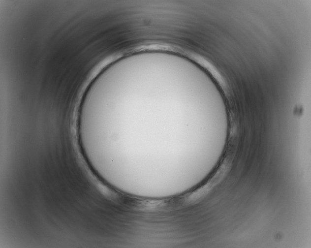X0000103261282200808291034
