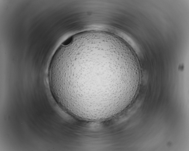 X0000103261283200808291034