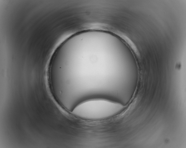 X0000103261285200808291034