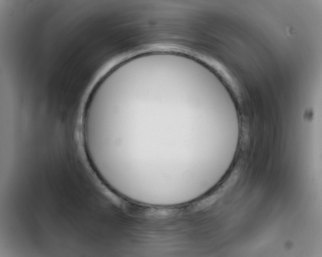 X0000103261286200808291034