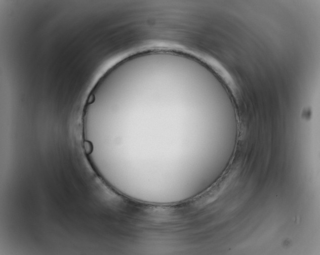 X0000103261287200808291034