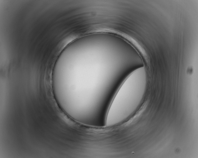 X0000103261289200808291034