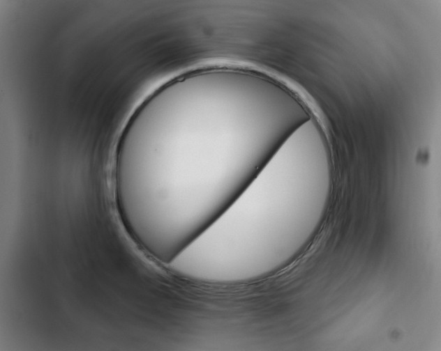 X0000103261295200808291034