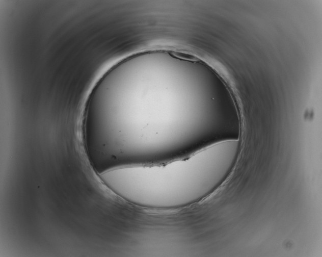 X0000103261296200808291034