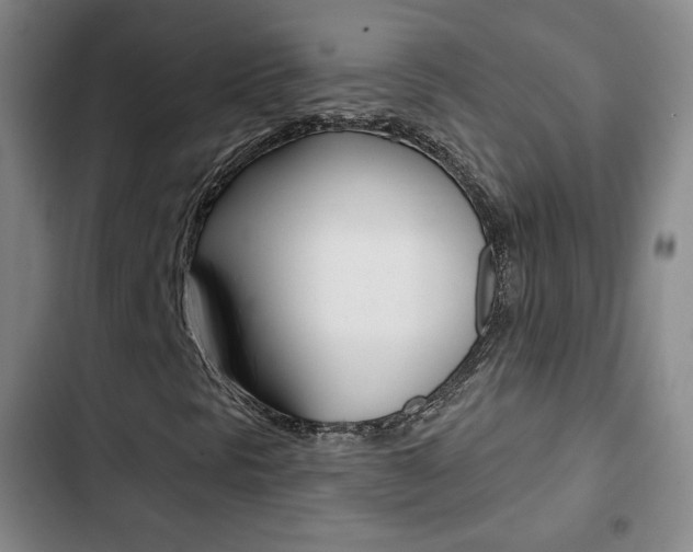 X0000103261297200808291033