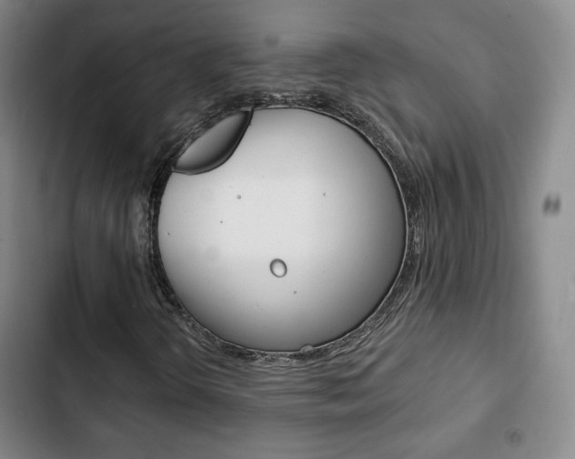 X0000103261298200808291033