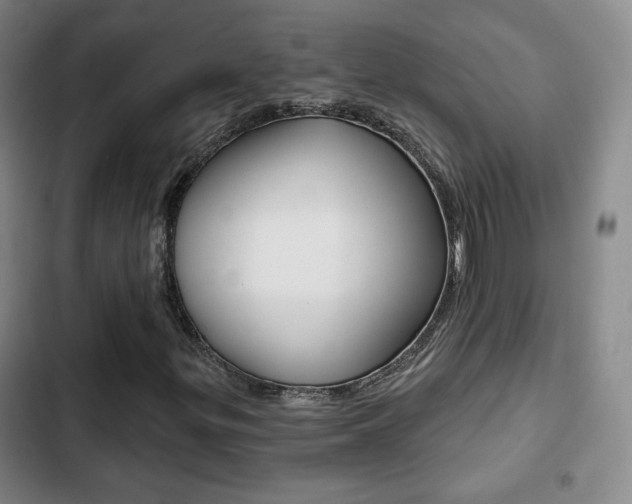 X0000103261299200808291033