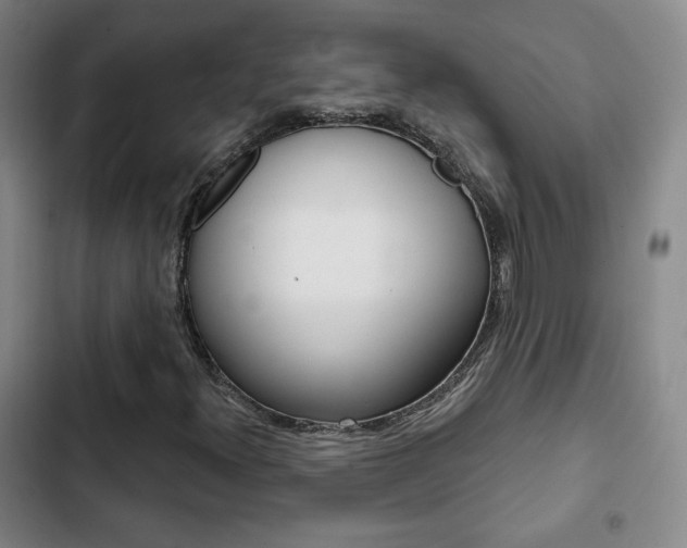 X0000103261300200808291033