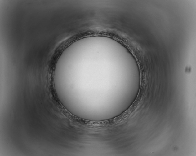 X0000103261302200808291033