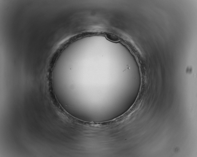 X0000103261304200808291033