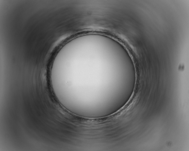 X0000103261307200808291033