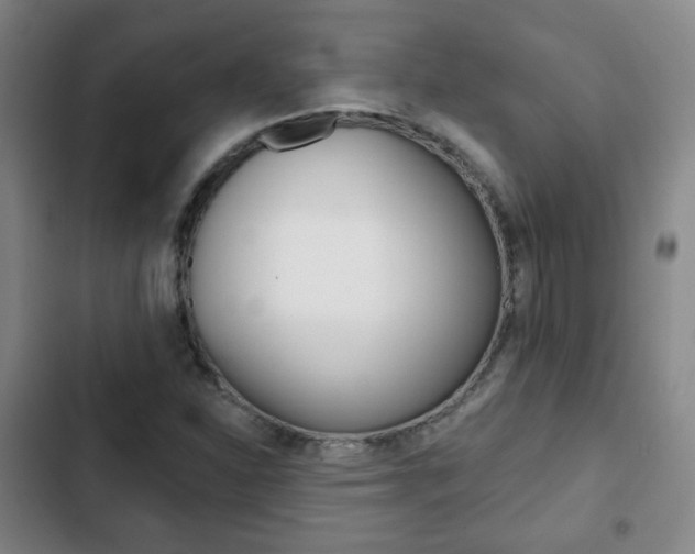 X0000103261310200808291033