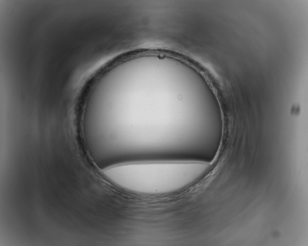 X0000103261311200808291033