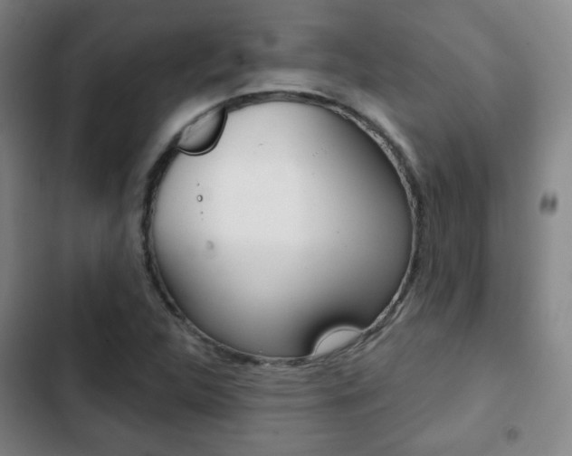 X0000103261312200808291033