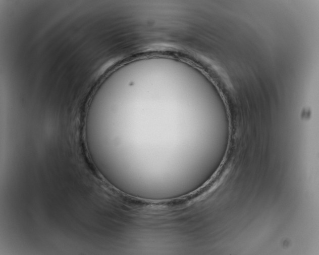 X0000103261313200808291033