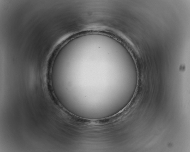 X0000103261315200808291033