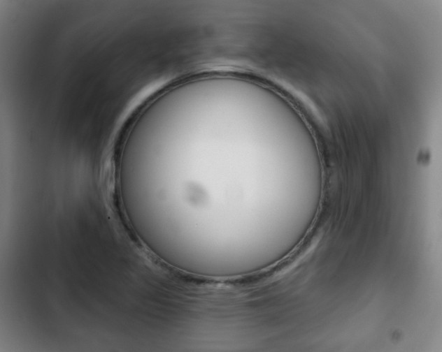 X0000103261317200808291033