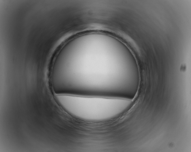 X0000103261318200808291033
