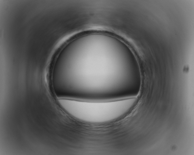X0000103261319200808291033