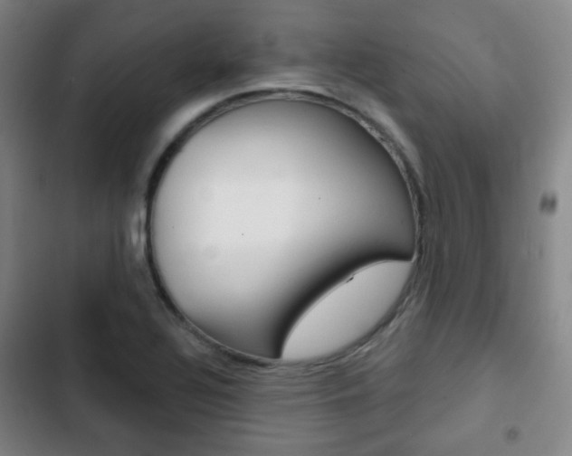 X0000103261320200808291033