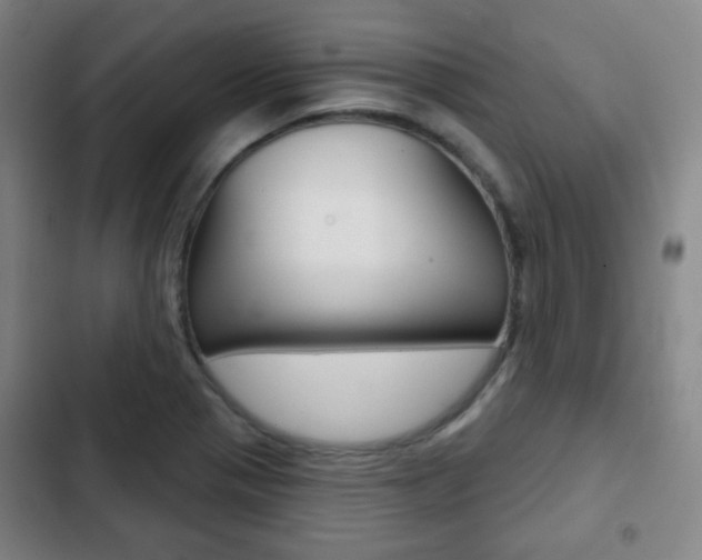 X0000103261321200808291033