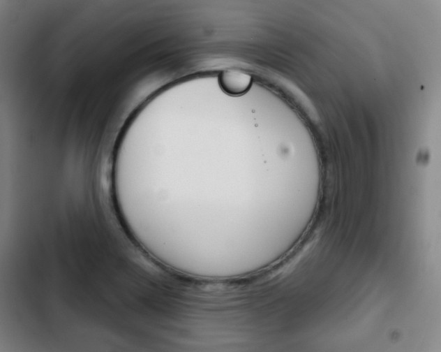 X0000103261322200808291033