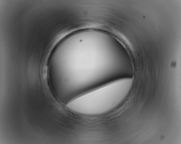 X0000103261324200808291033