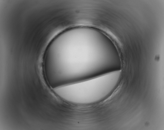 X0000103261325200808291033