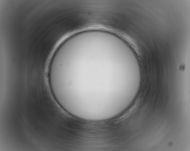 X0000103261326200808291033