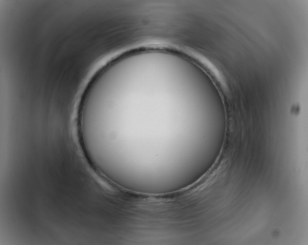 X0000103261327200808291033
