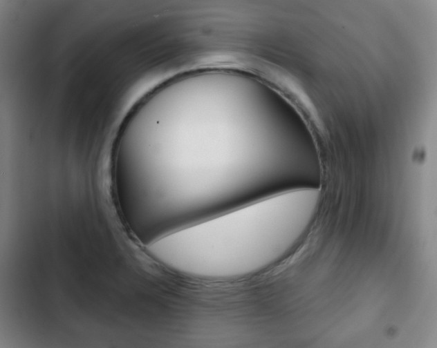 X0000103261328200808291034