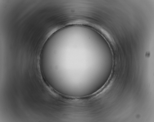 X0000103261329200808291034