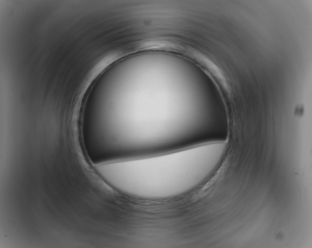 X0000103261330200808291034
