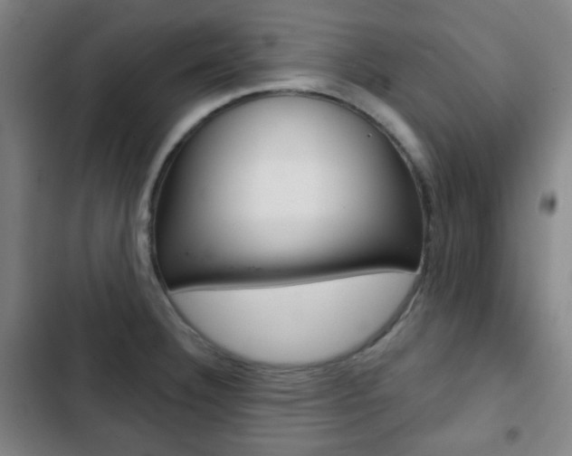 X0000103261332200808291034