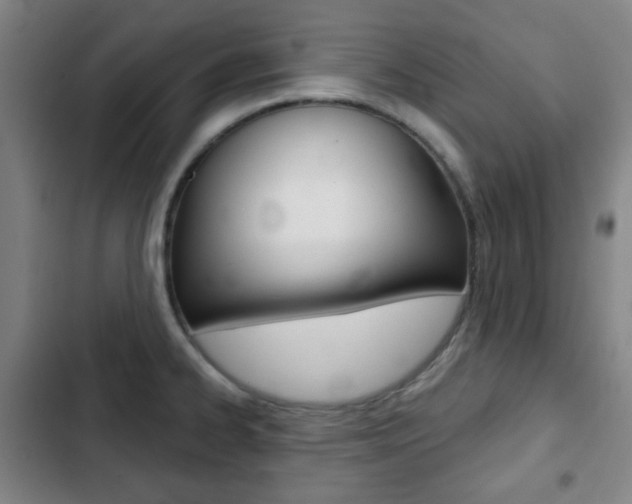 X0000103261334200808291034
