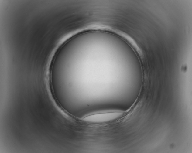 X0000103261335200808291034